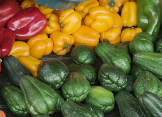 Como aproveitar legumes maduros da feira antes que estraguem